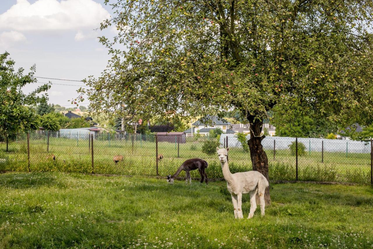 Eko Na Wierzynka & Park Pinokia 3*
